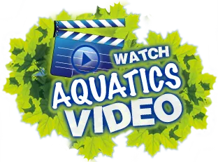 Watch The Aquatics Video